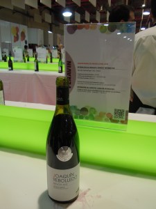 Joaquin Rebolledo 2011