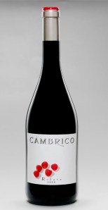 Cambrico Rufete 2006