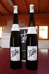 10292478_478237698973382_7907768351019791447_n