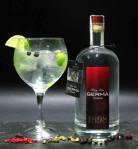 10334254_493352670808683_2612951254592785236_n